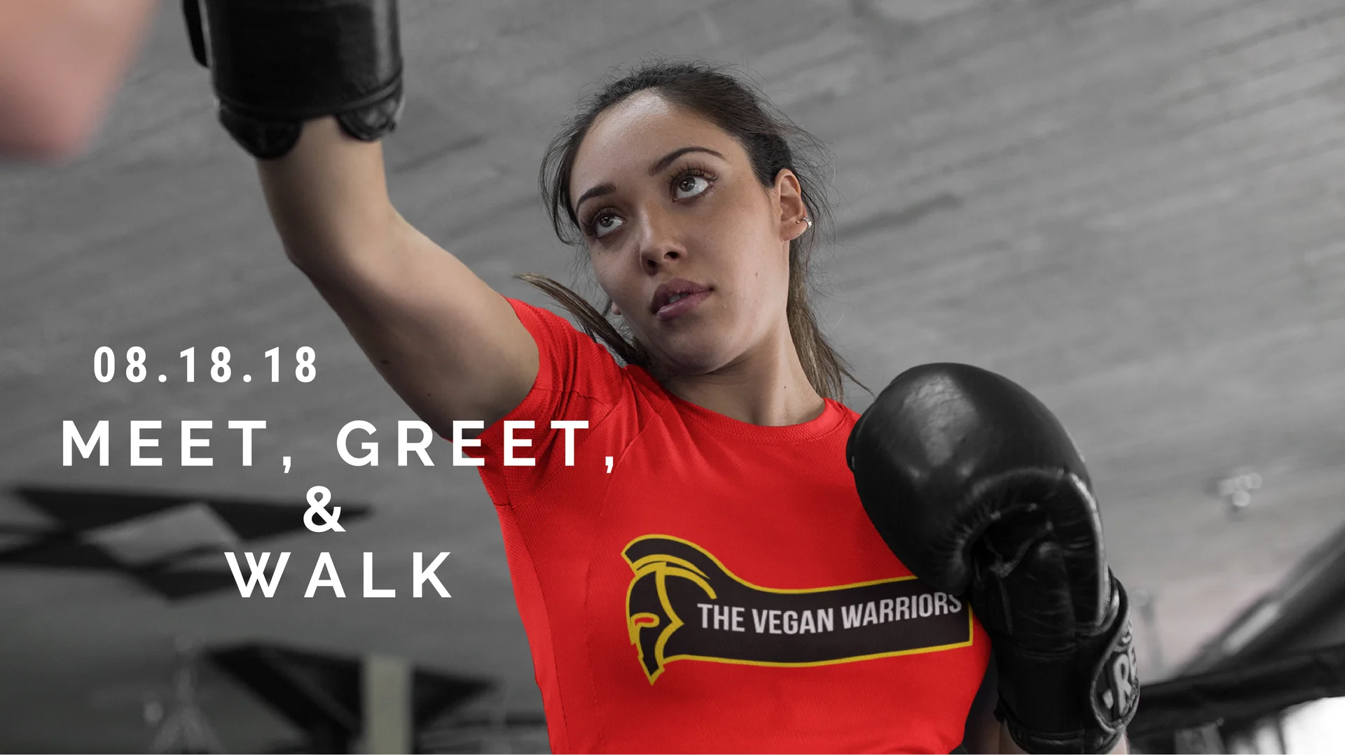 meet,greet,walk2.jpg