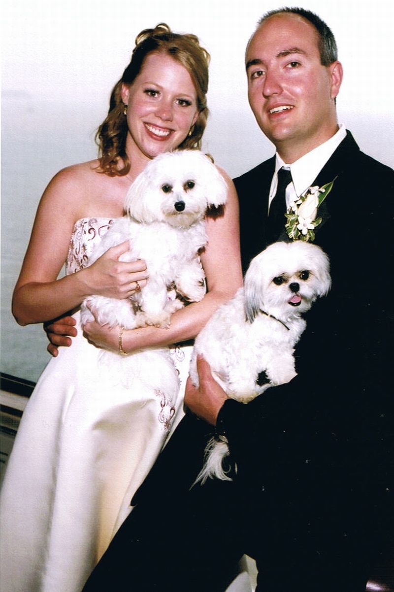 Wedding-Dogs2.jpg