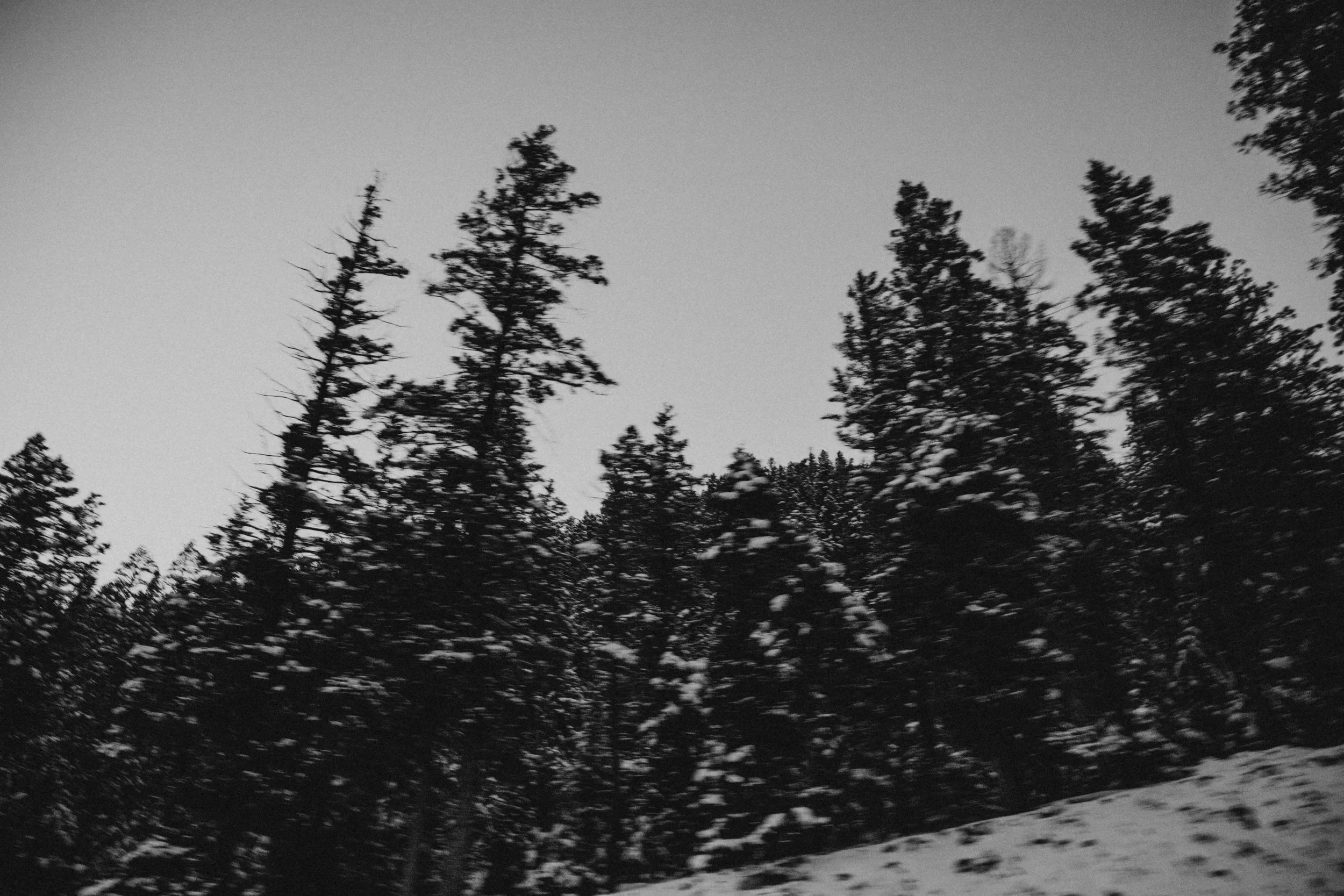 IMG_6990.jpg