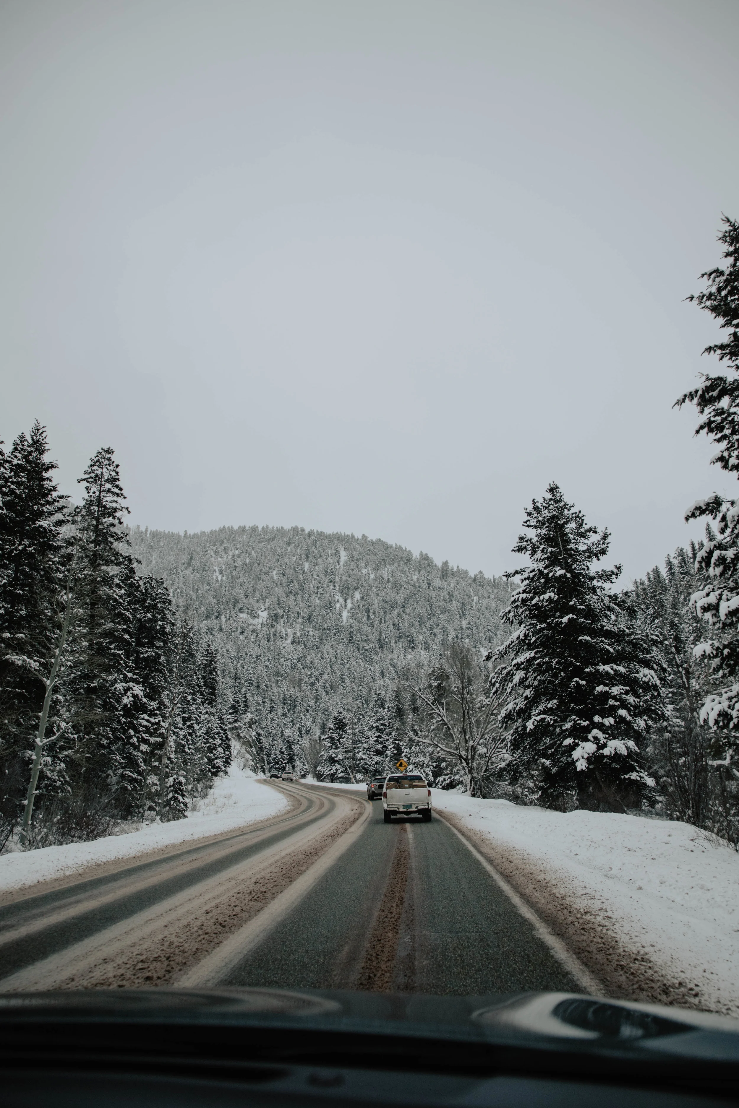 IMG_6644.jpg