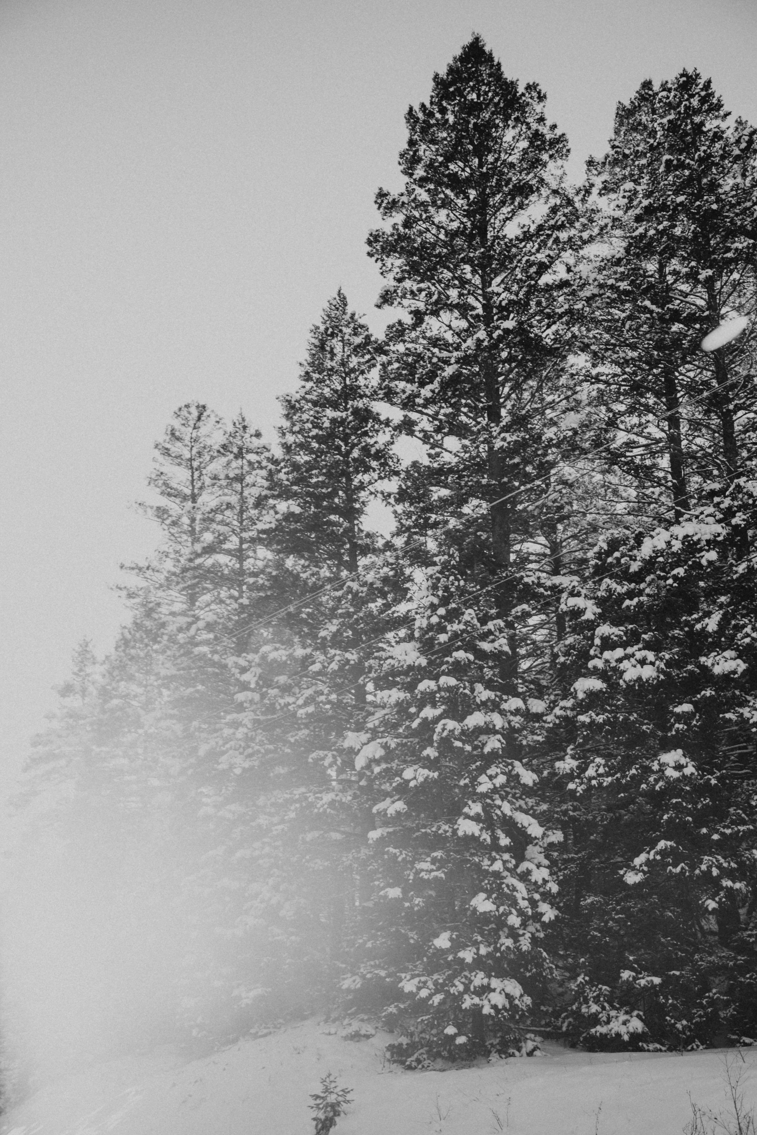 IMG_6761.JPG