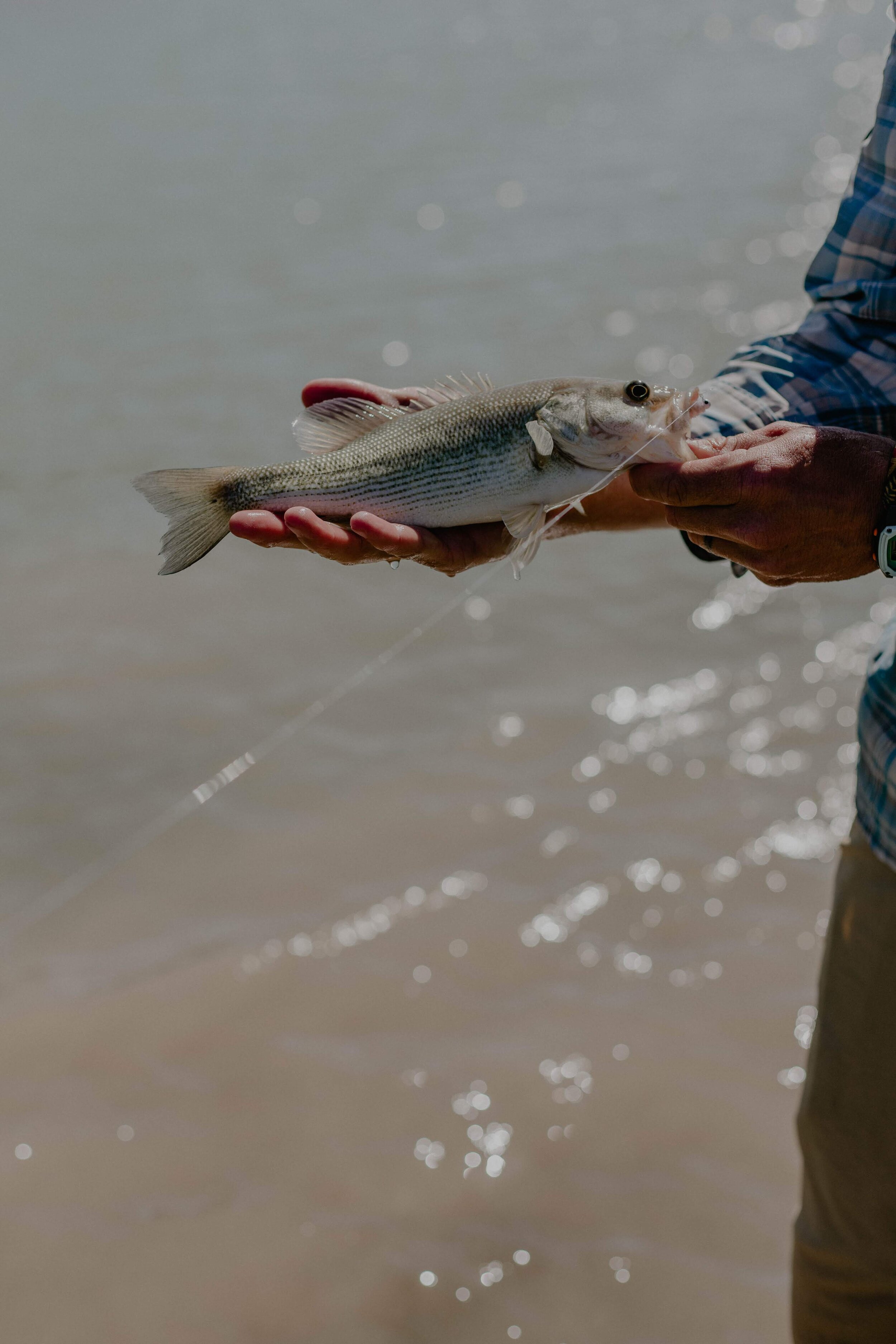 4272020_MW_fryfishin061.jpg