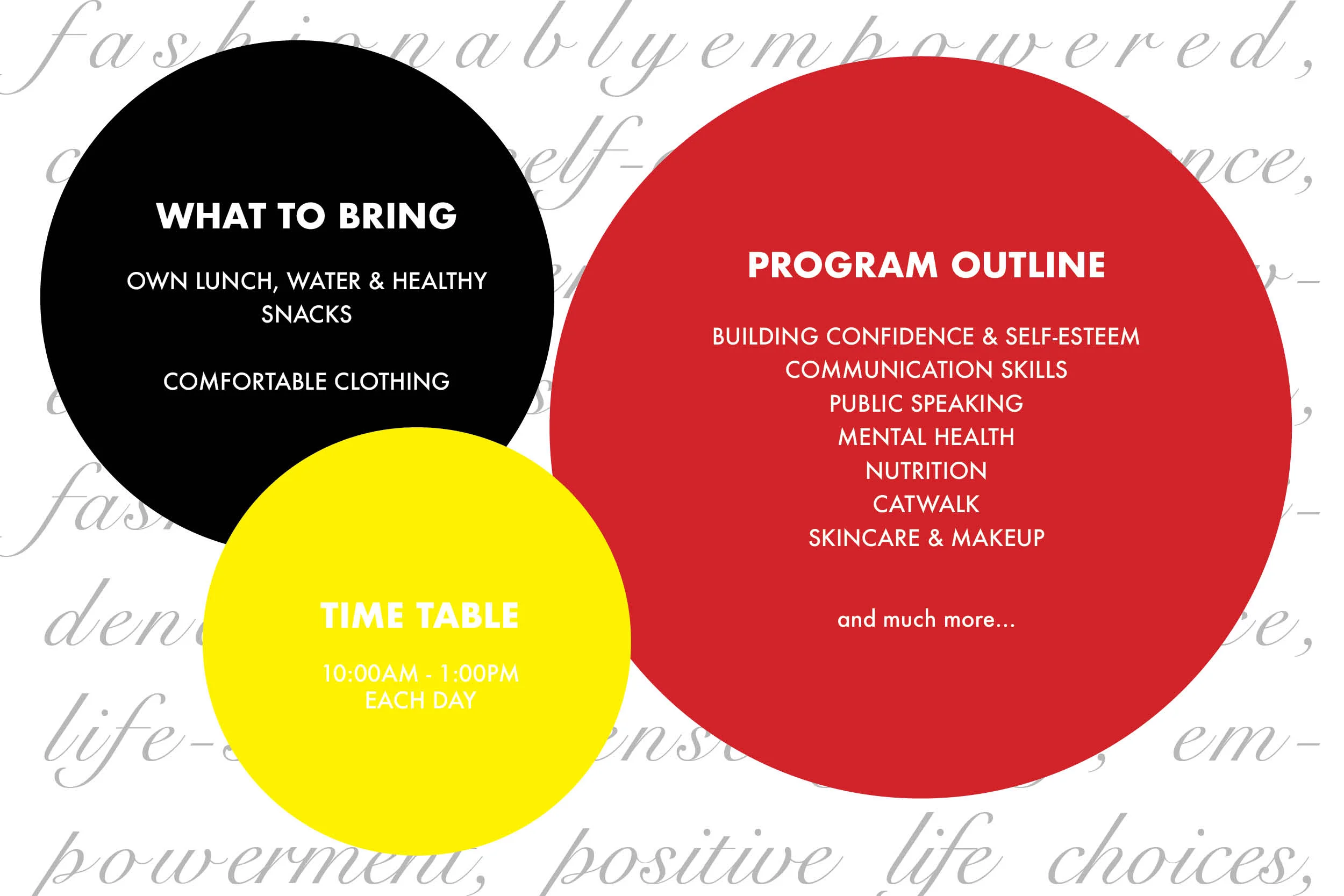 TDP Program Ouline Website.jpg