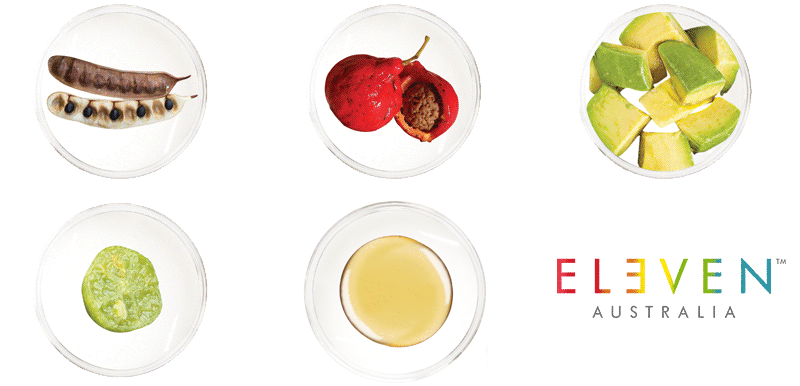active-ingredients-header.gif