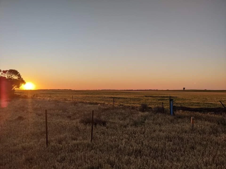 Sun setting over the Mallee.