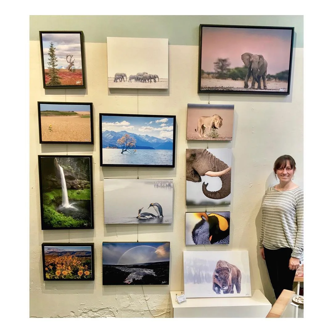 Artistic Portland Opening.jpg