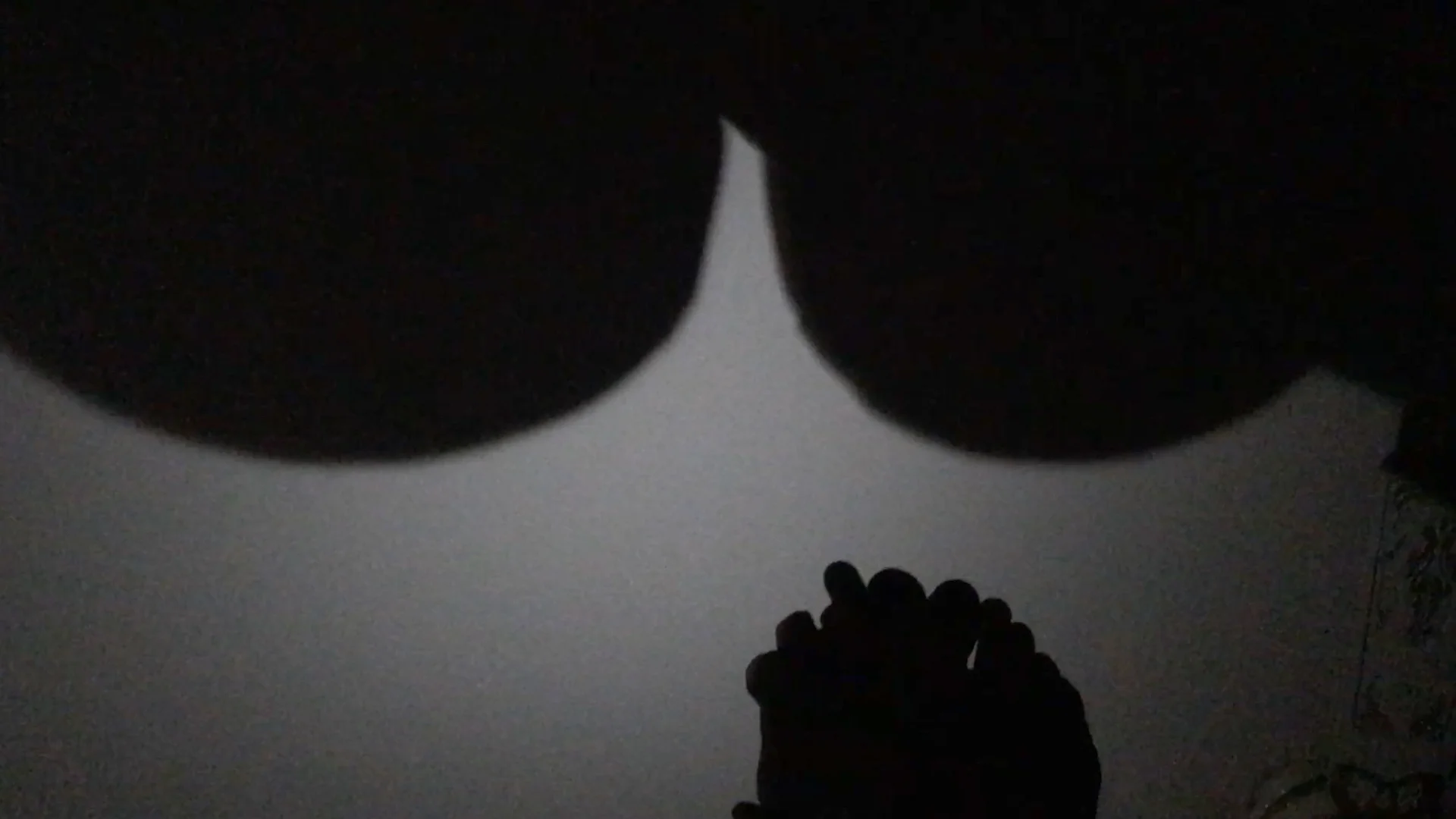 Still from Come Coyote , Dani and Sheilah ReStack, 8 minutes, 2019
