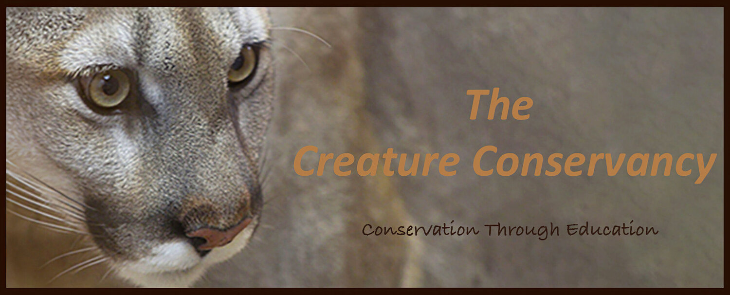 The Creature Conservancy