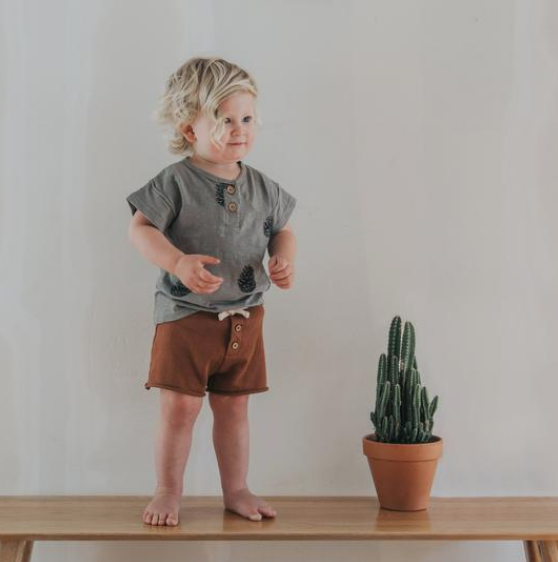 Screen Shot 2018-11-26 at 8.23.16 PM.png