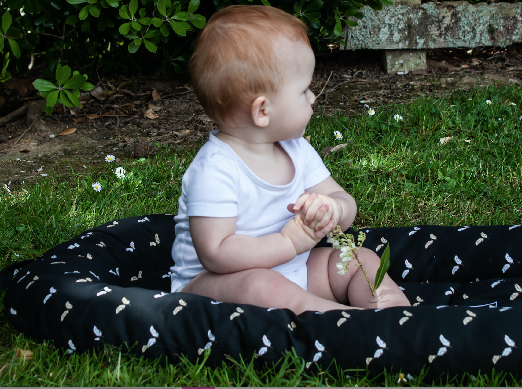 Screen Shot 2018-11-28 at 11.22.04 PM.png