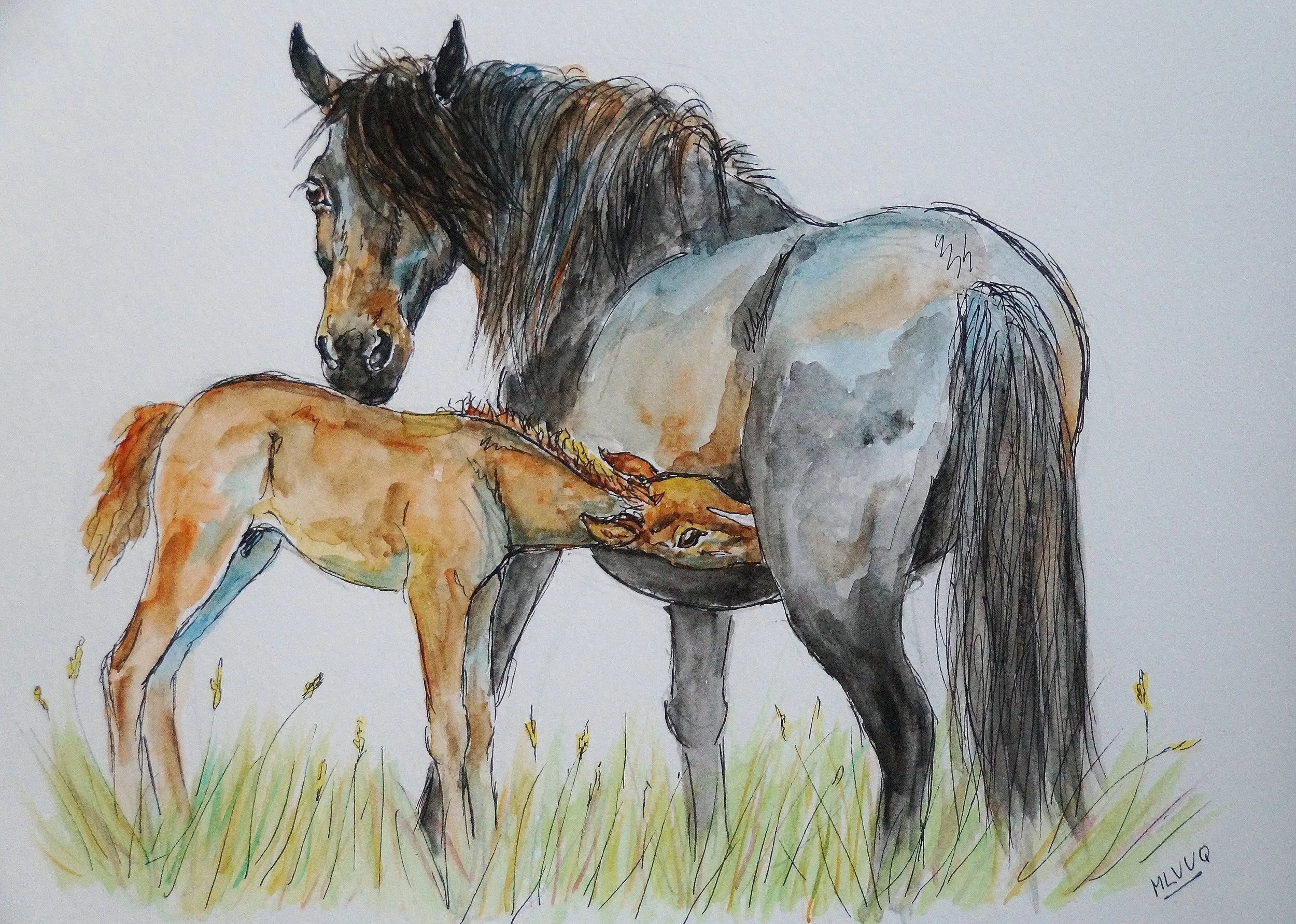 Mare And Foal