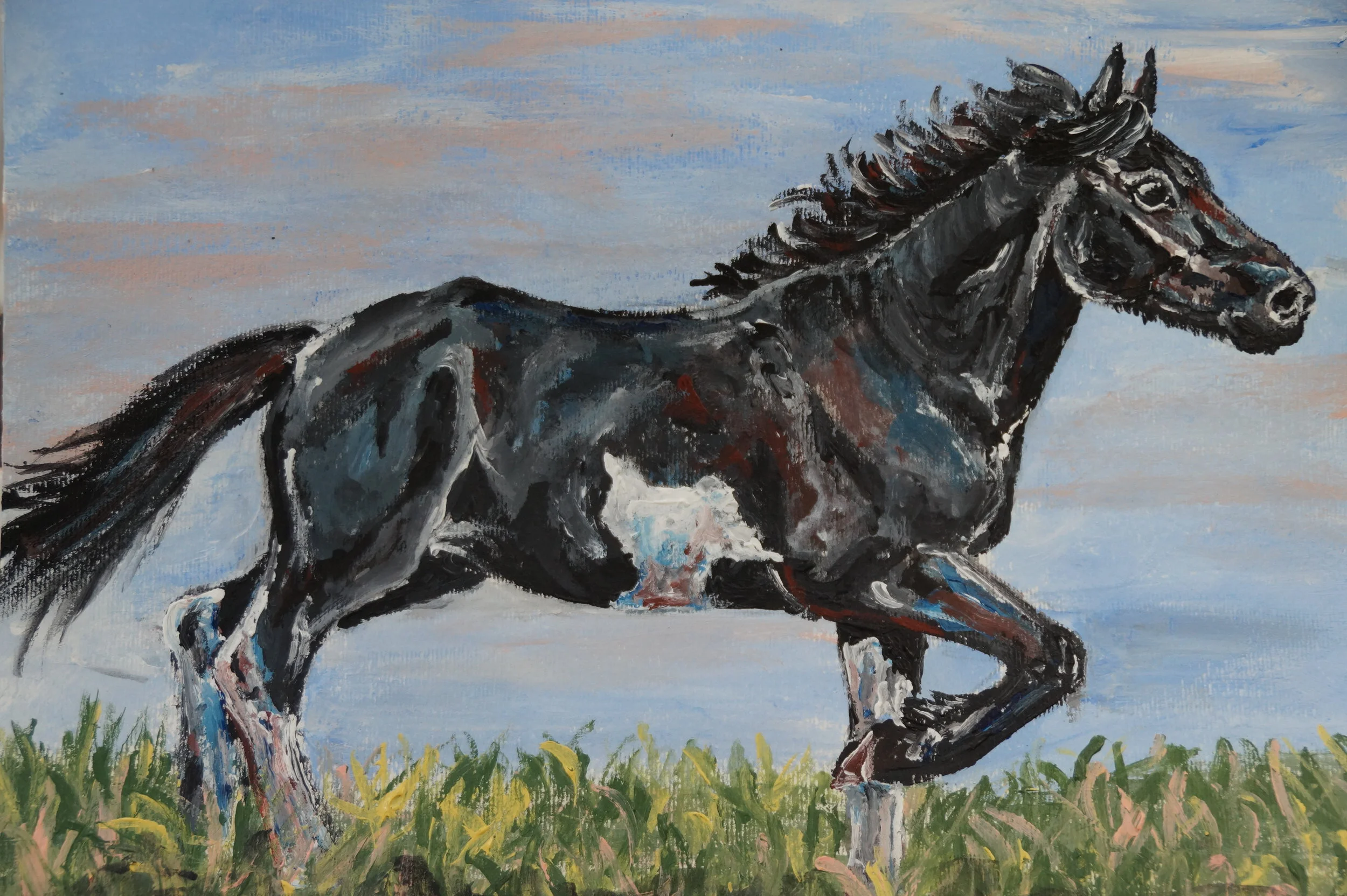 The Black Stallion