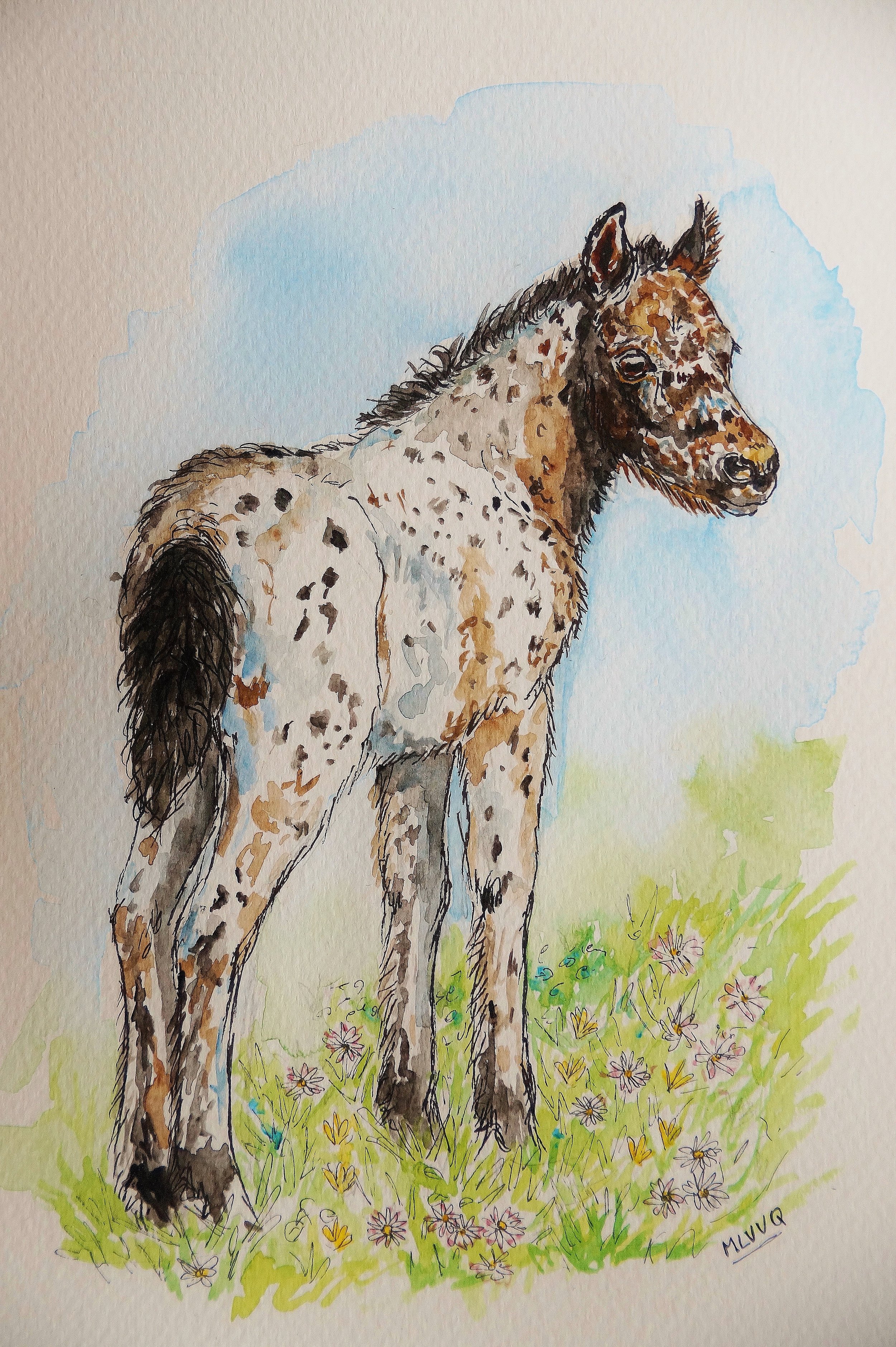 Among The Flowers