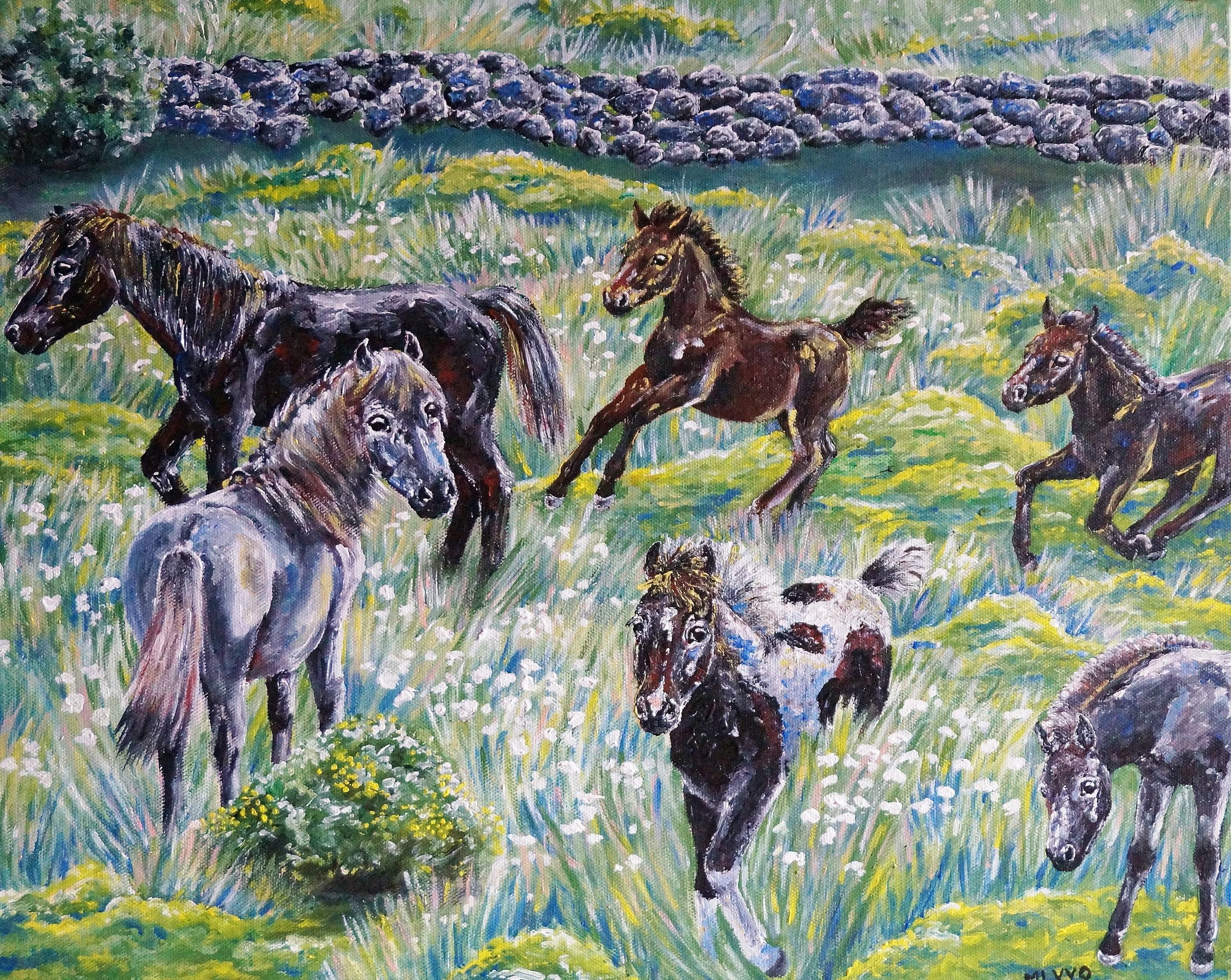 Cotton Grass - Copie.JPG