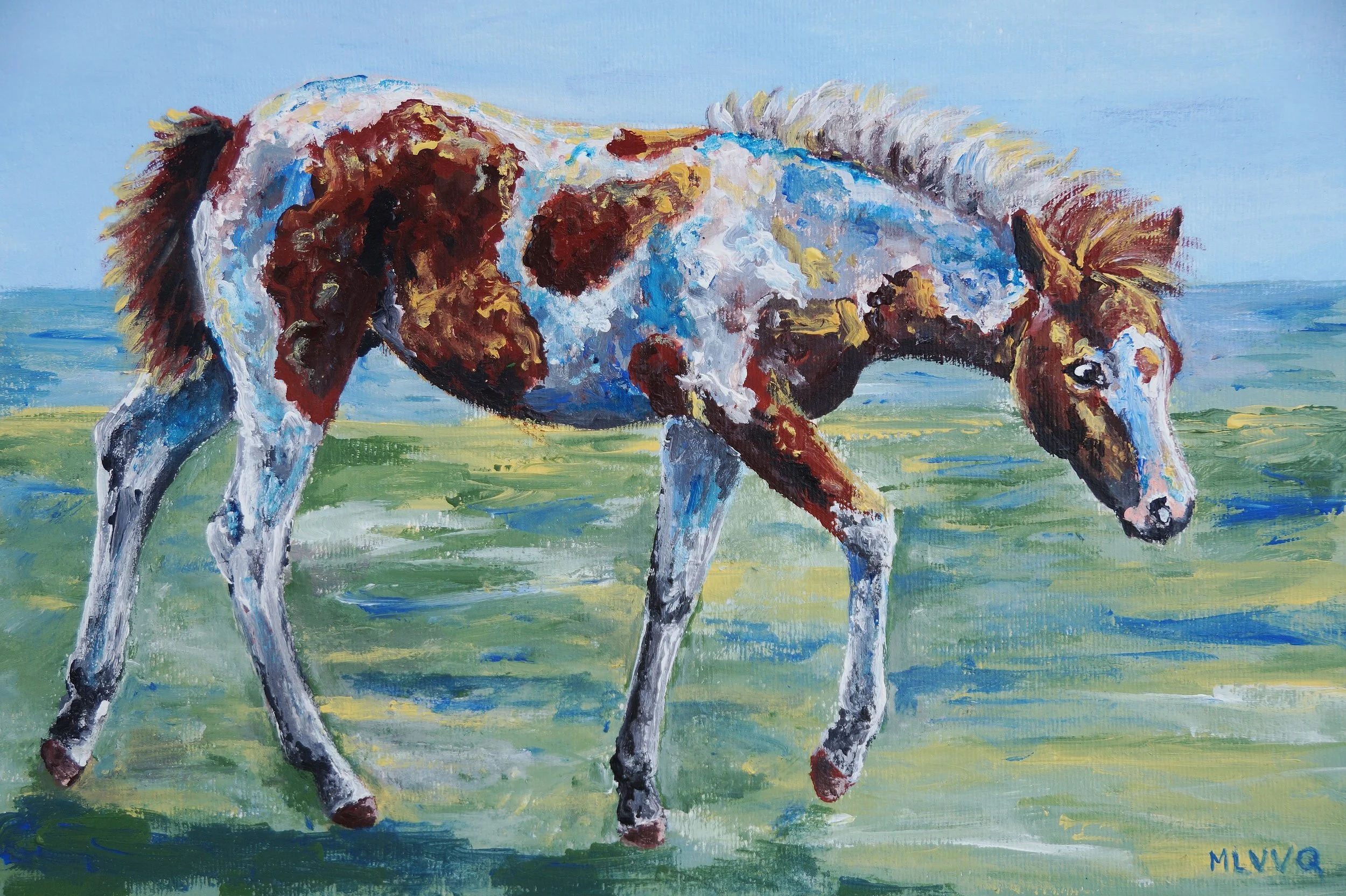 Inquisitive Piebald Foal