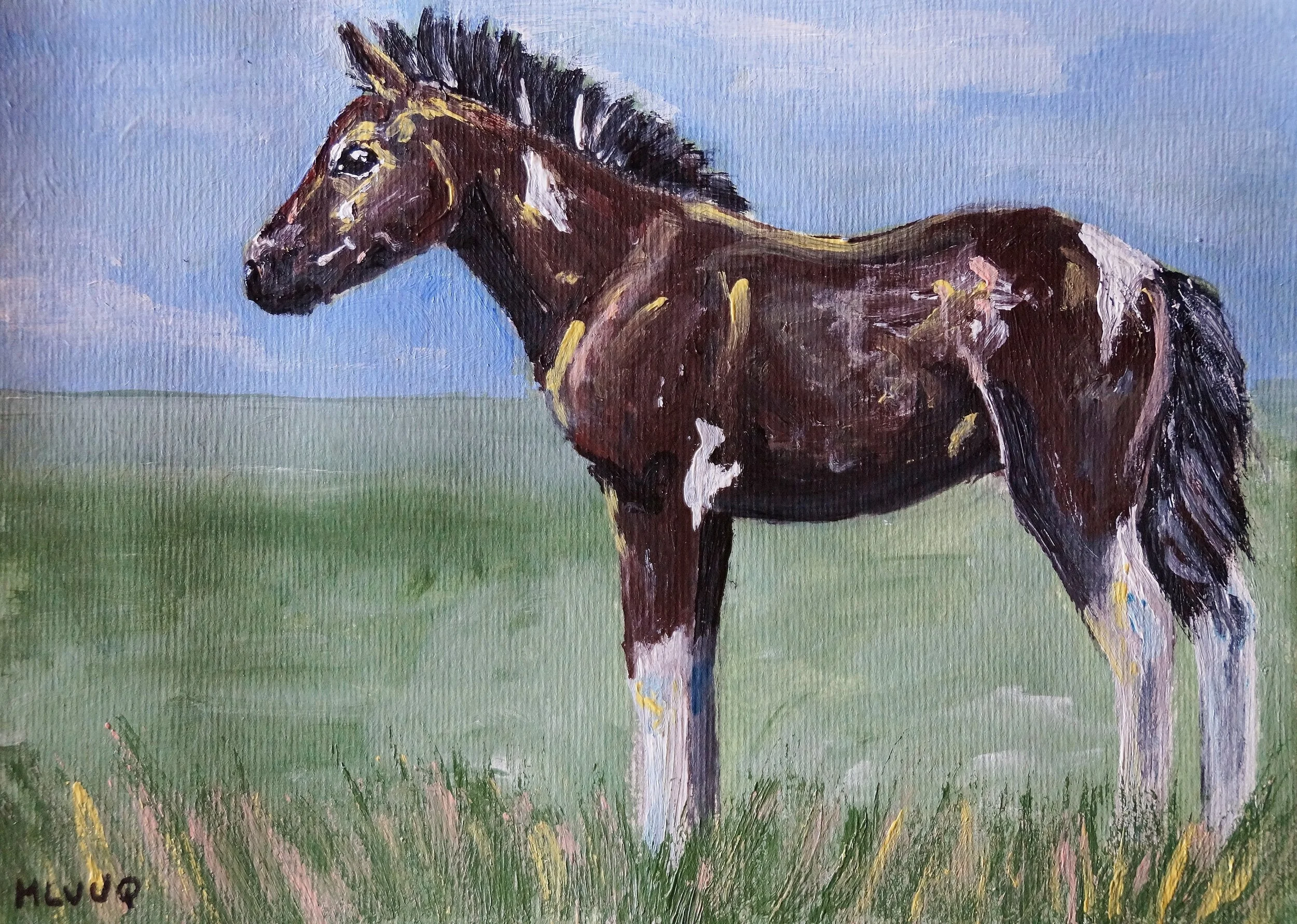 Piebald Foal - SOLD