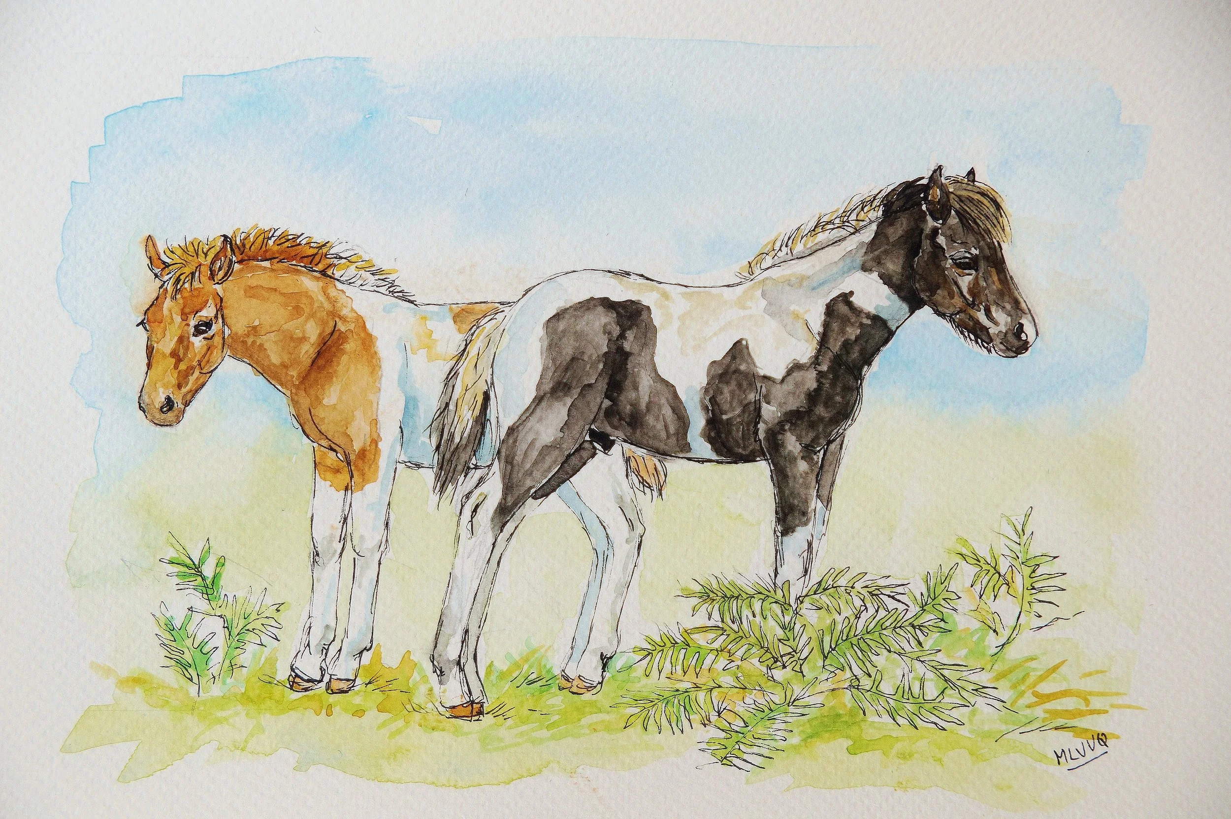 Two Piebald Foals