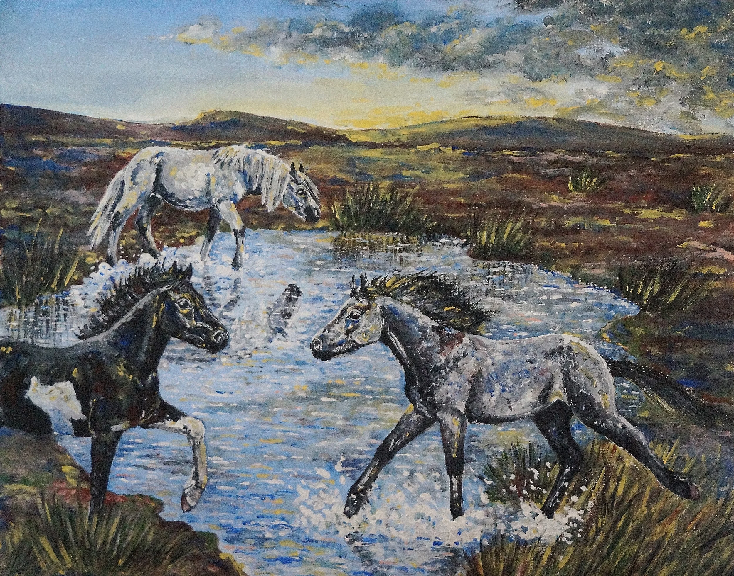 A Splash of clouds.JPG