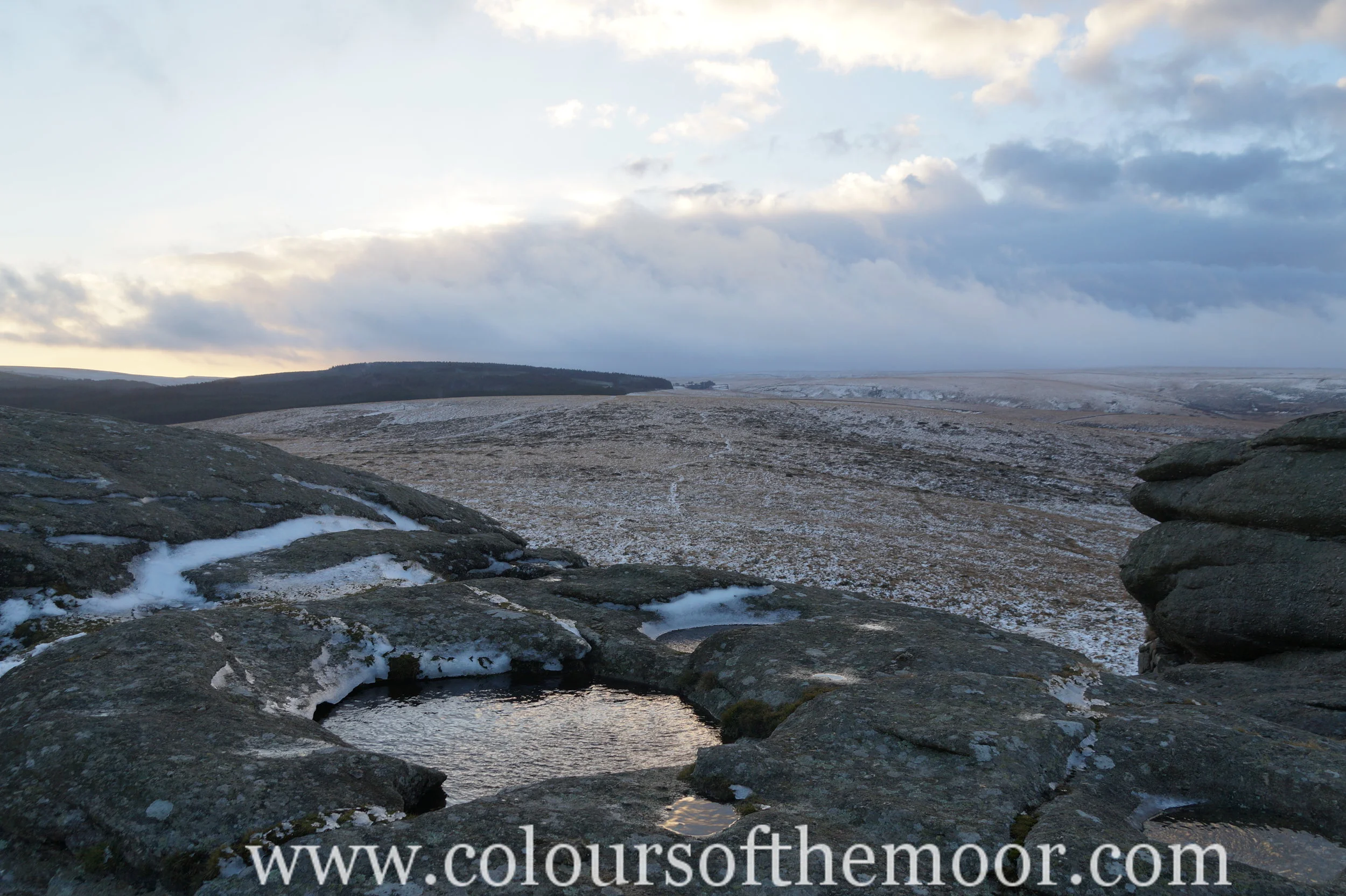 Portfolio — Colours Of The Moor