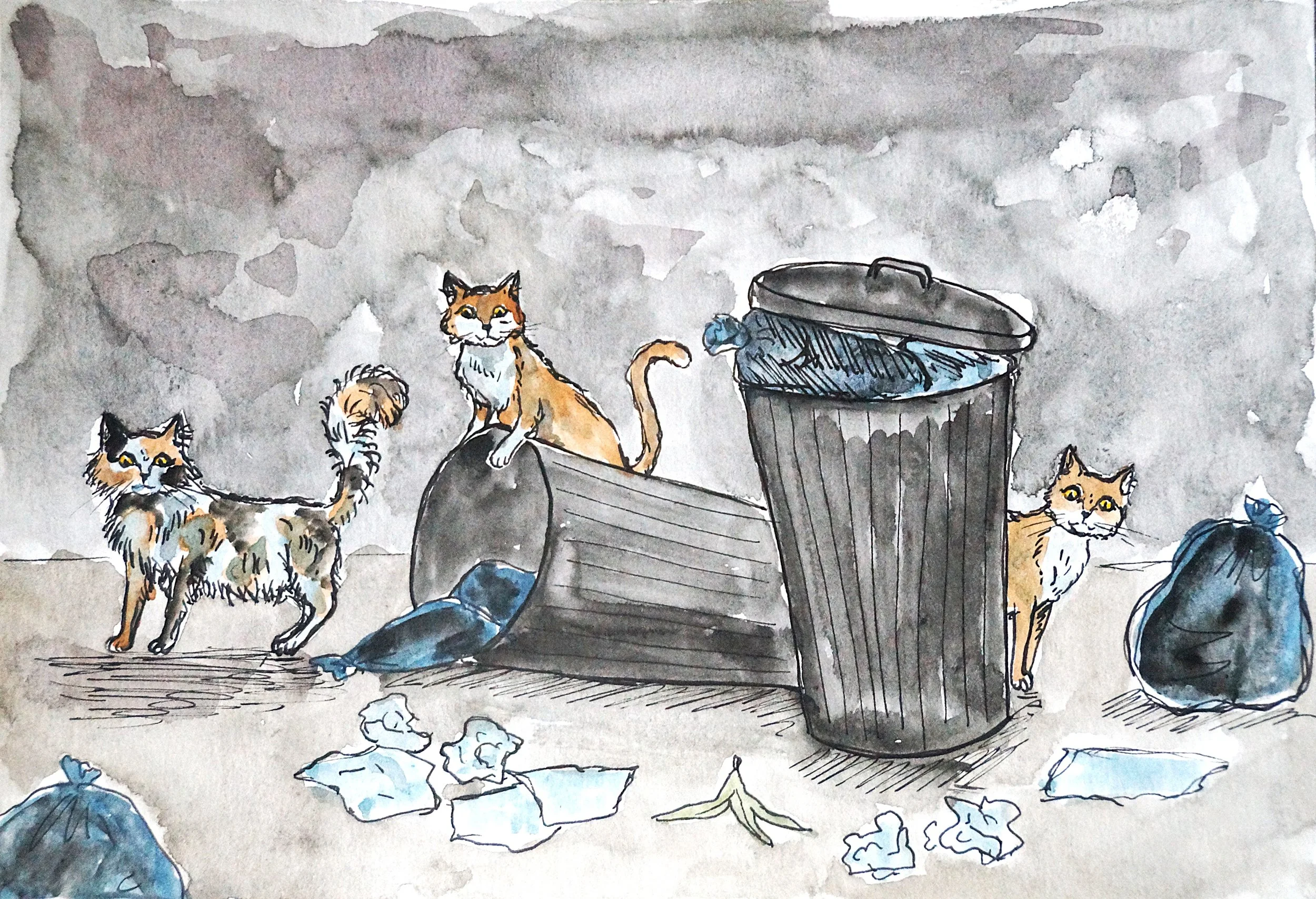 "Street cats"