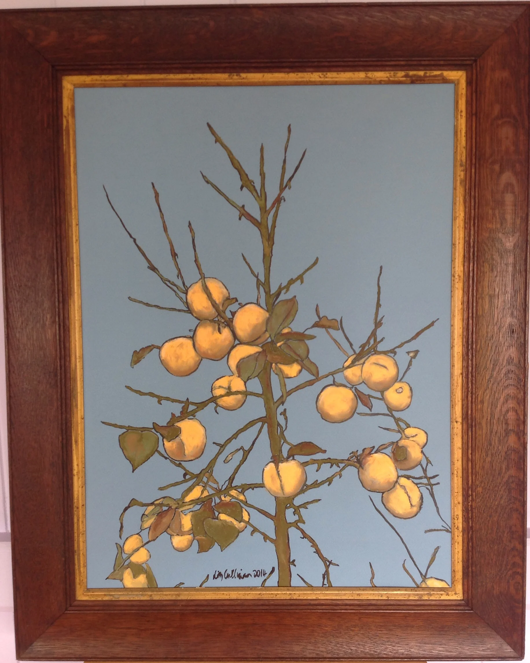Persimmon tree