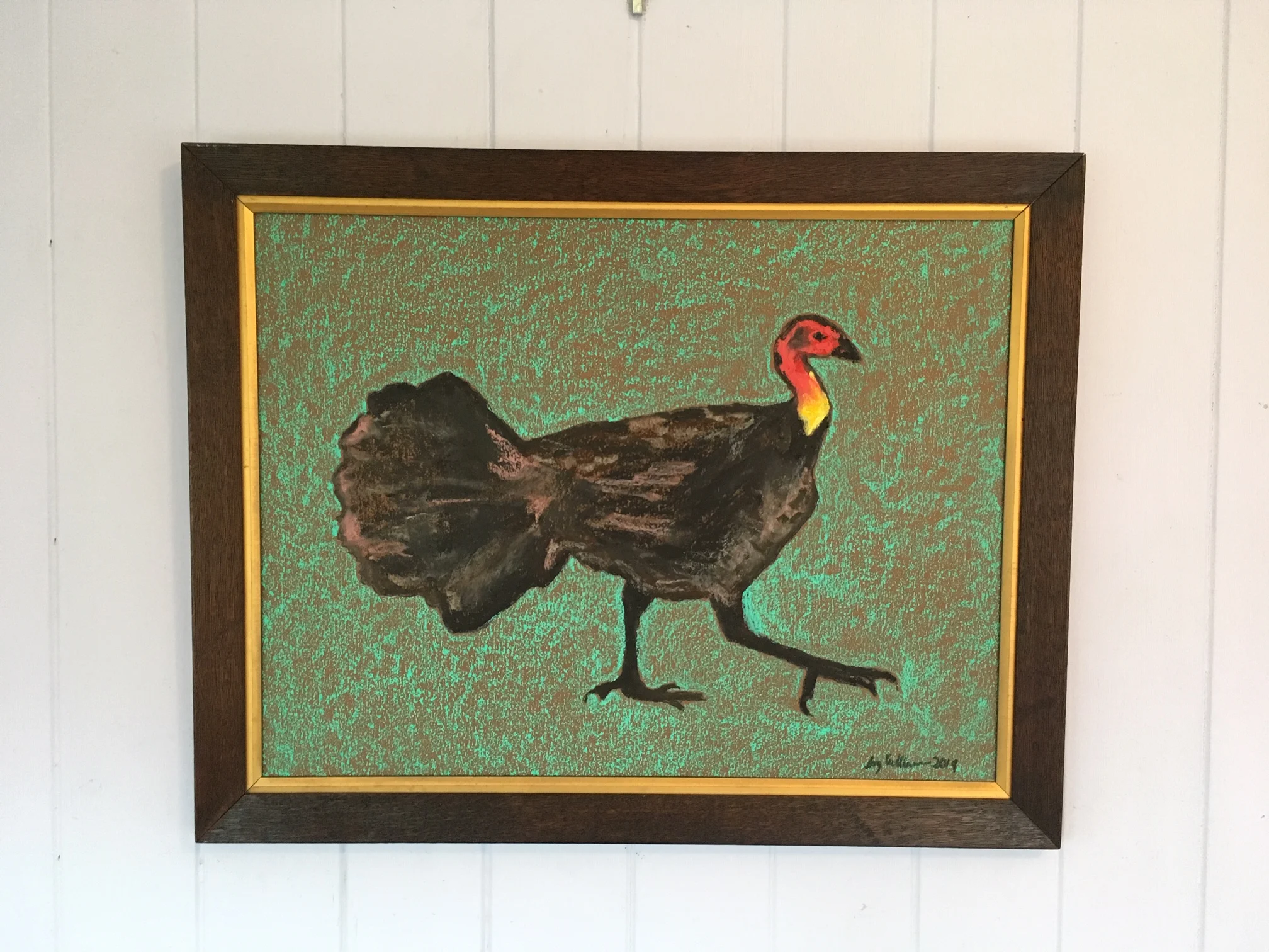 Bush Turkey strut