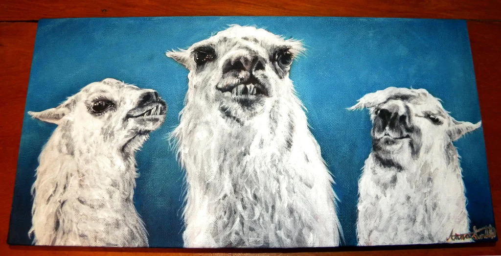 Llama Posse