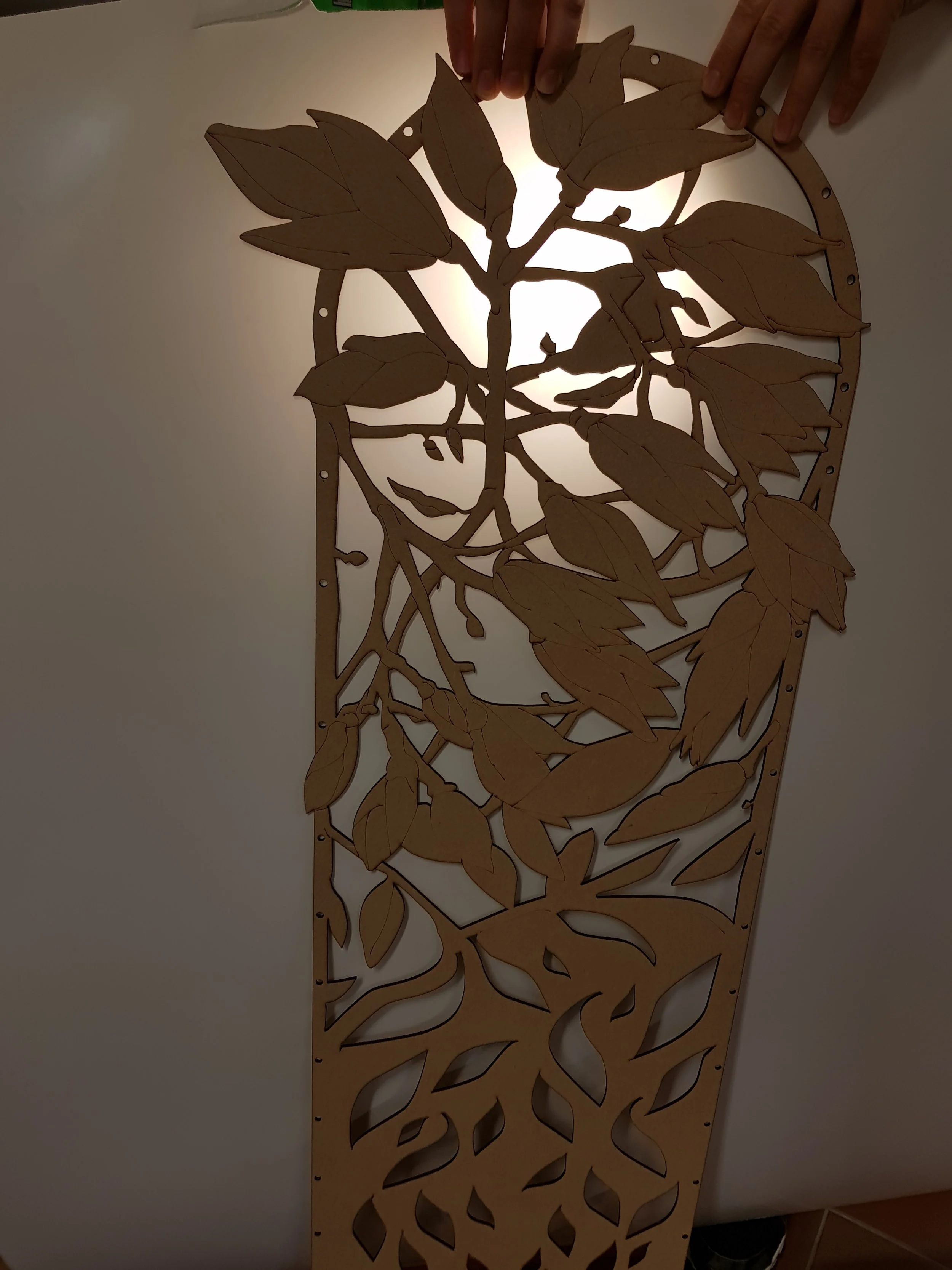 2019-03-12 22.42.11.jpg