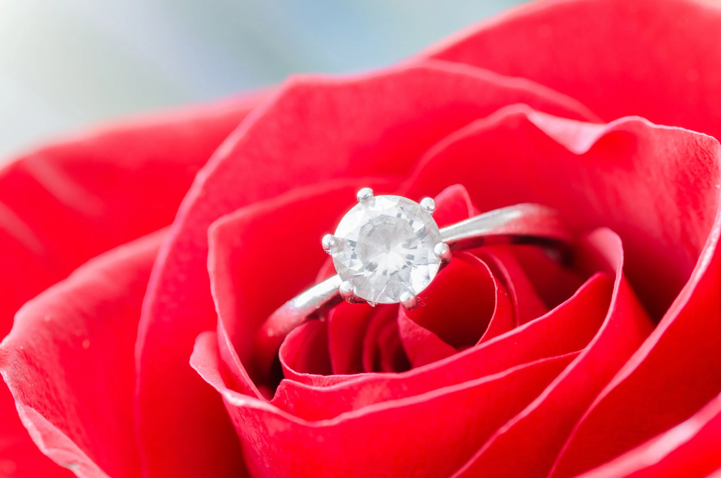 Bespoke Engagement Rings — Hallmark Goldsmiths