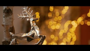 Festive - Promo Video