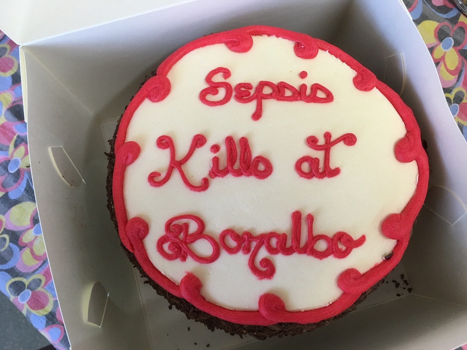 Bonalbo Cake-min.JPG