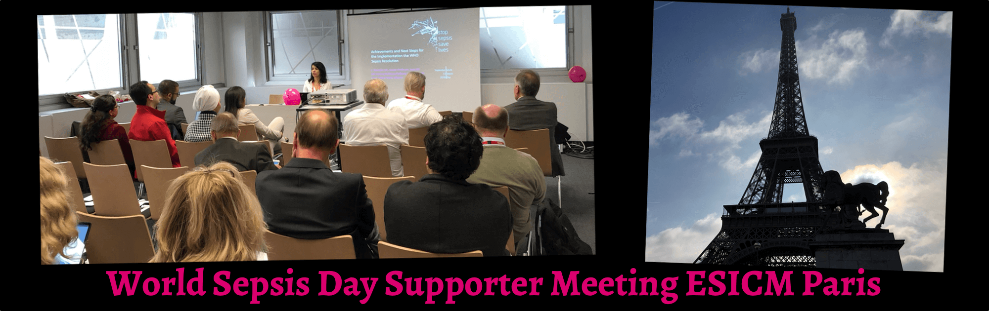 WSD Supporter Meeting Paris (1).png