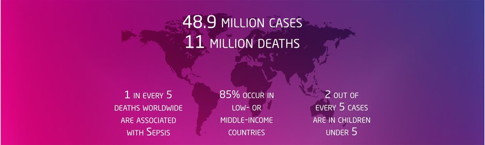 Sepsis 48.9 million cases 11 million deaths wide.jpg