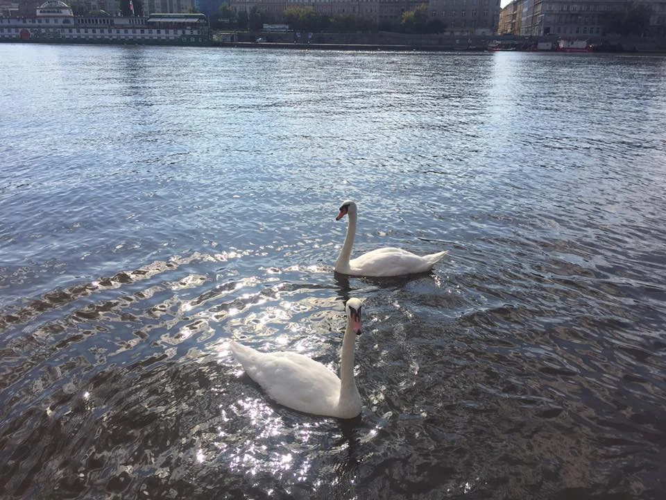 The Power of Authentic Sharing