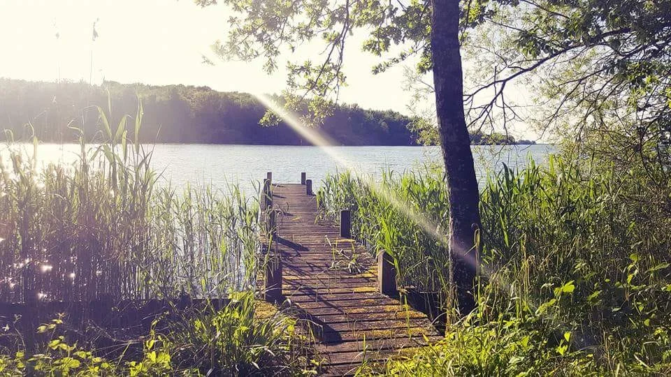 If you want to find passion in your life