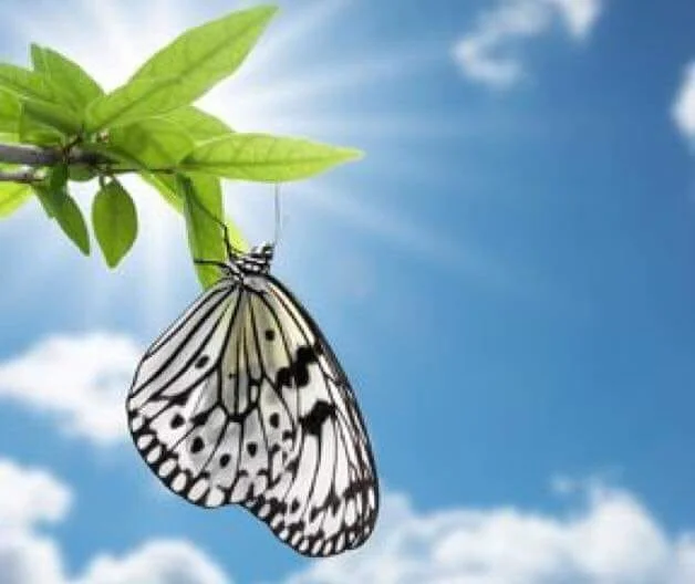 What differentiates people who mostly enjoy life from people who mostly suffer in life?