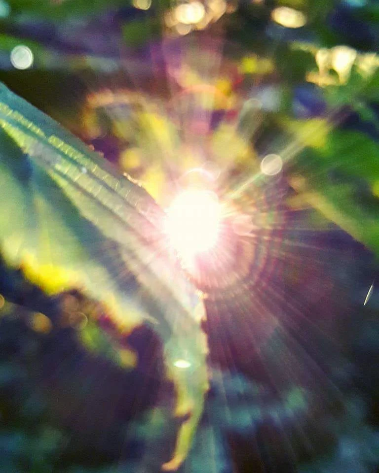 Sex and Spirituality