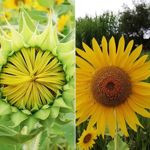 We all want to feel love and connection.