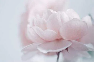 How I came in contact with Tantra