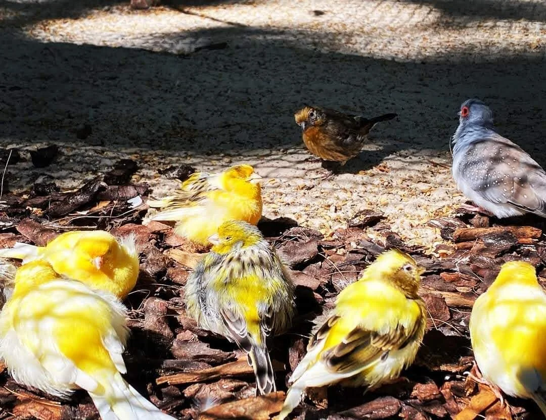 So a parent, so a baby