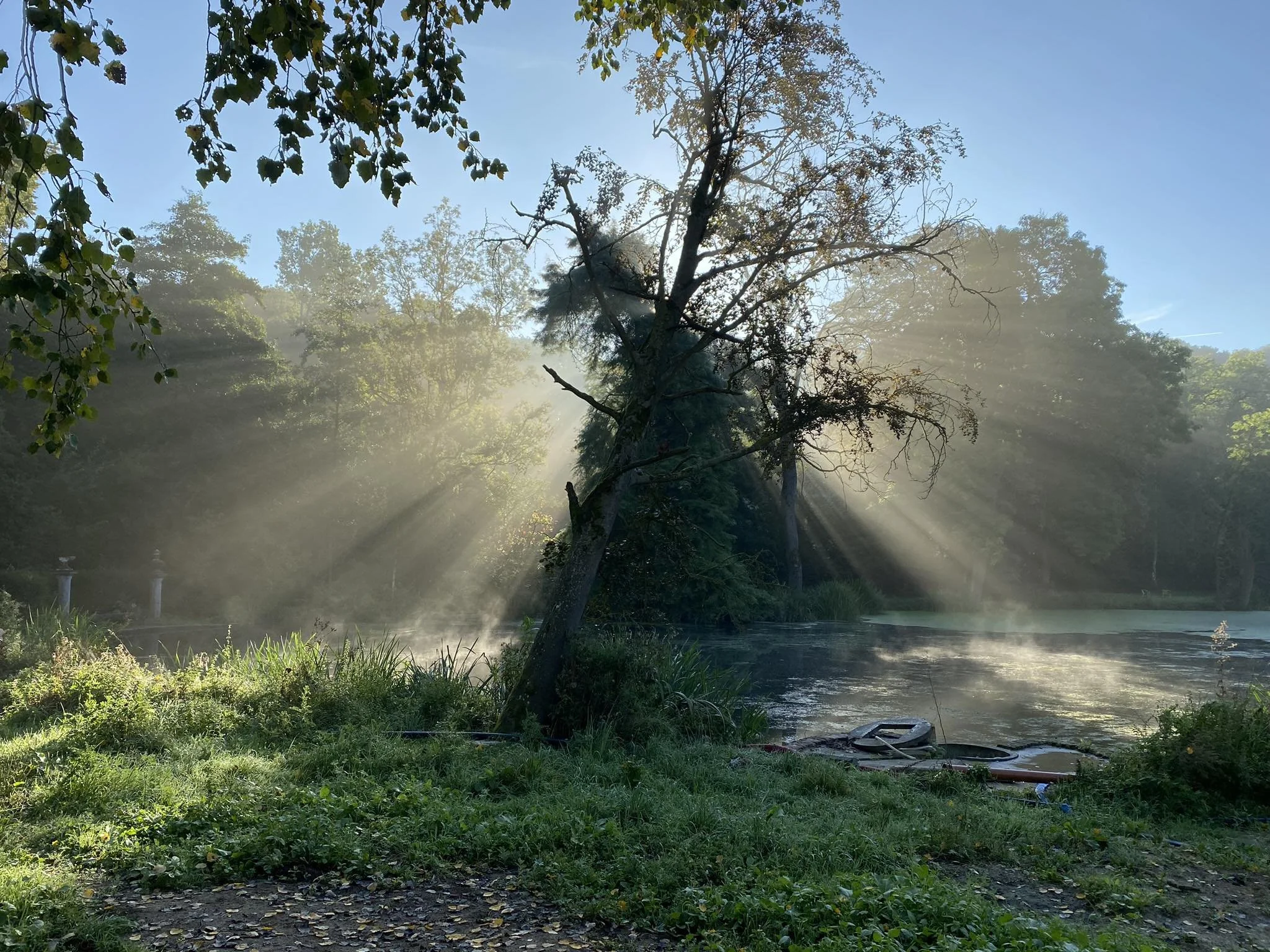 Putting a finger on the numb part in my heart