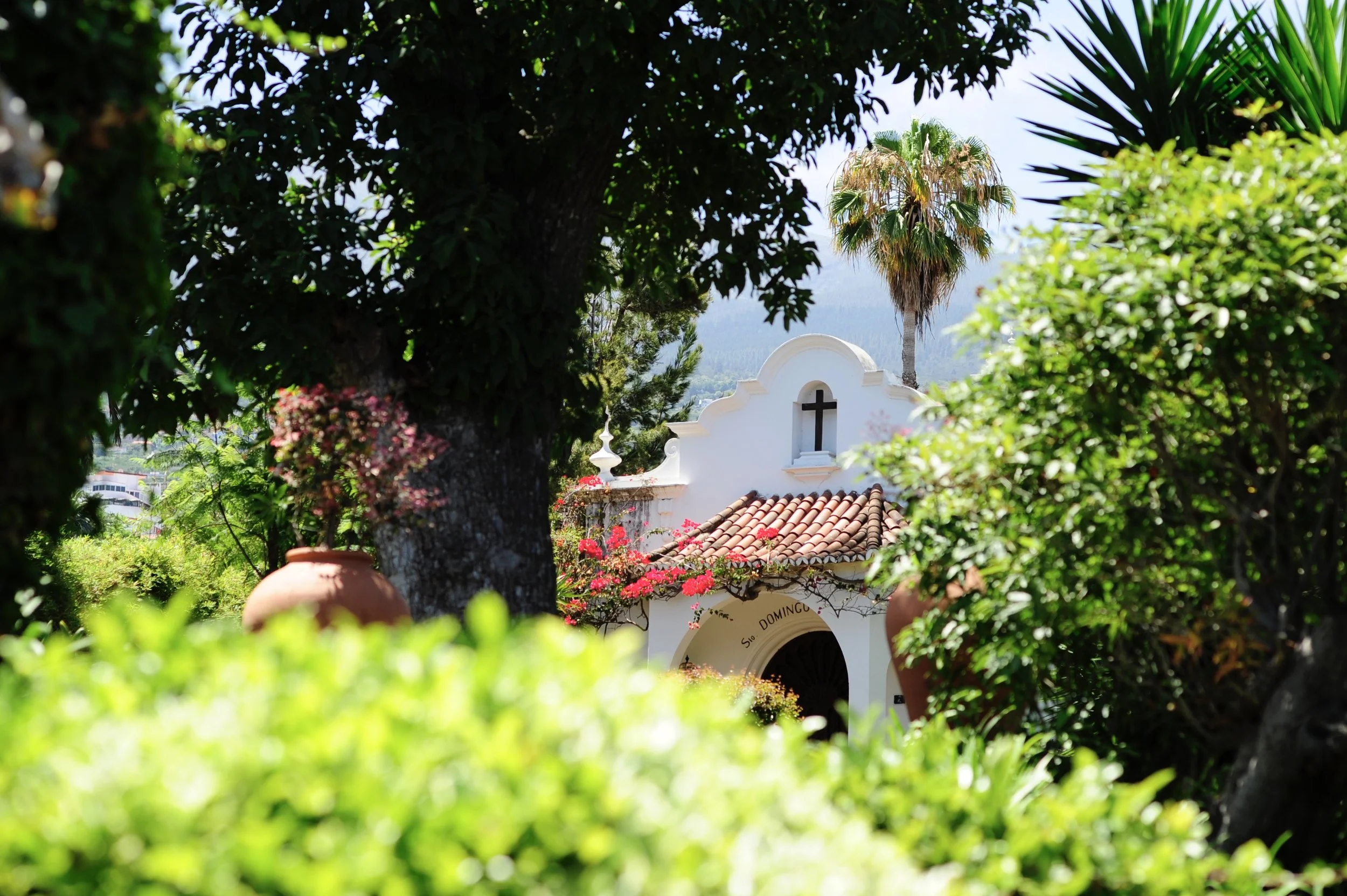 Almaíso_Garden_04.jpg