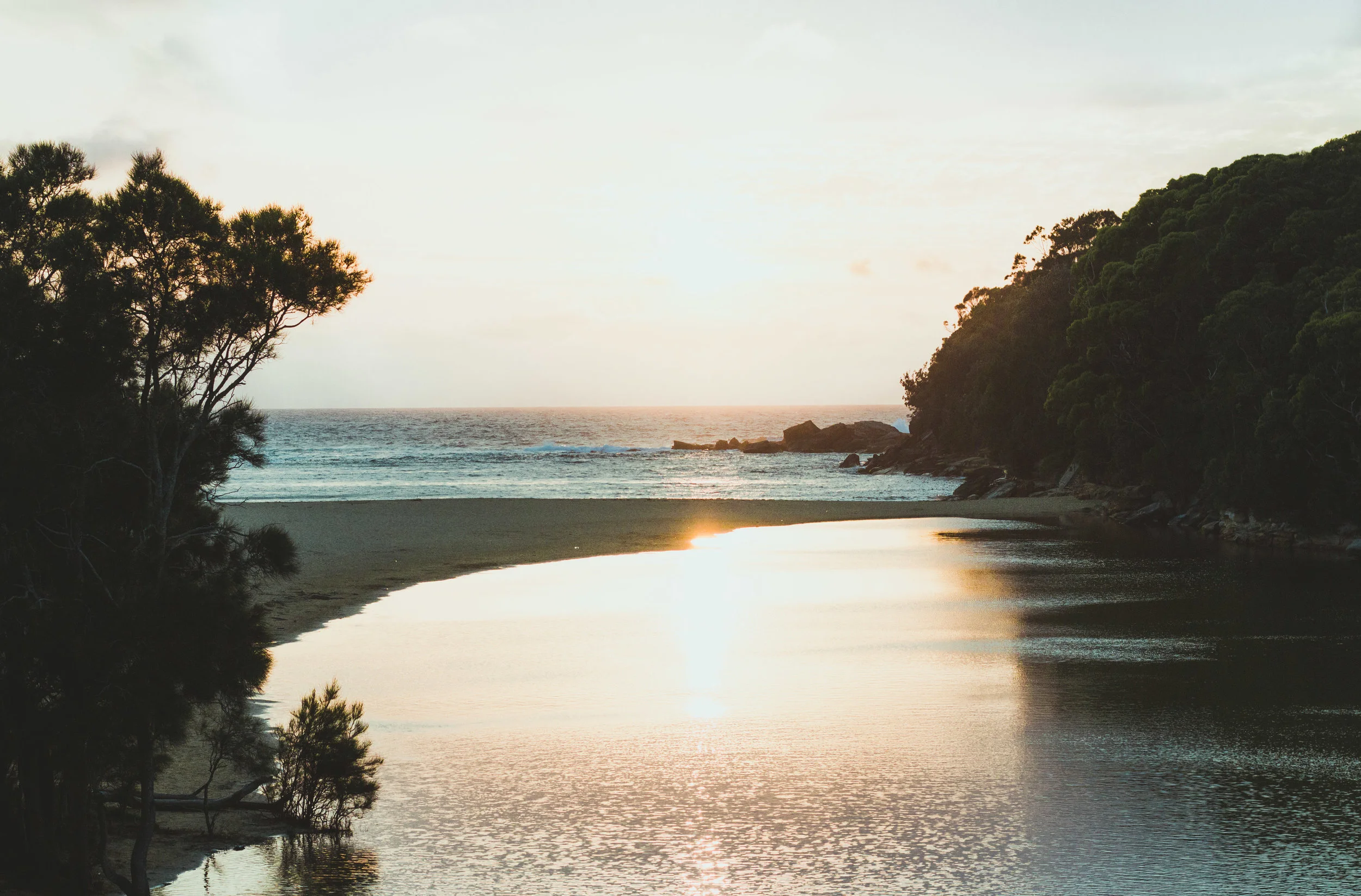 WattamollaSunrise.jpg