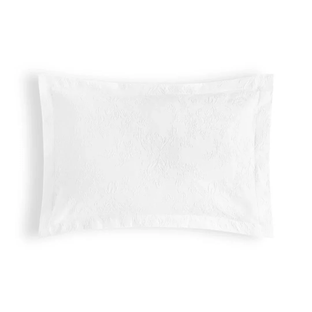 Copia de Copia de Copia de Copia de Copia de Copia de Copia de Copia de tradition.jpg