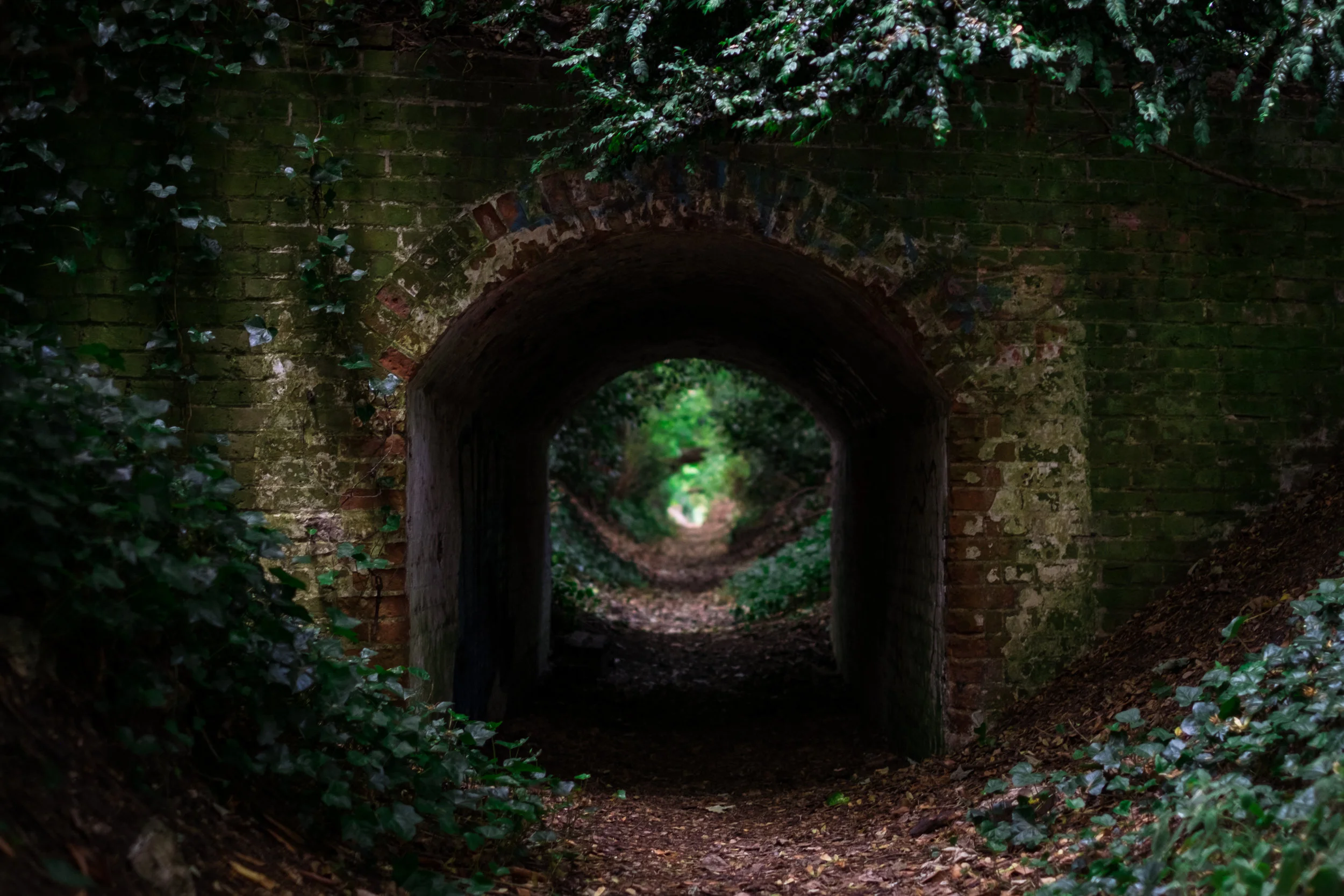 4 - Hidden Path.jpg