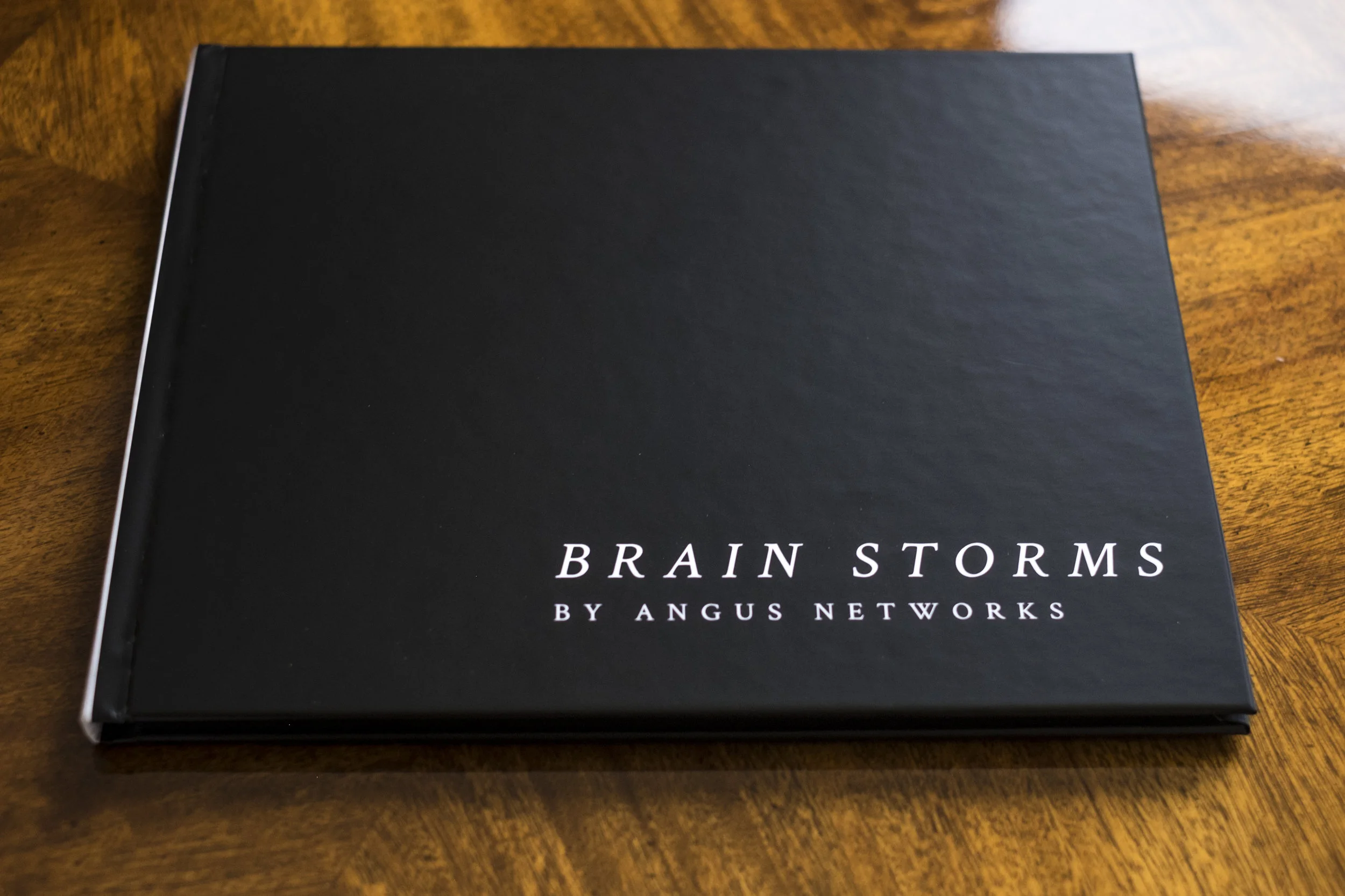 AN - Volume 1 - Brain Storms-2.jpg