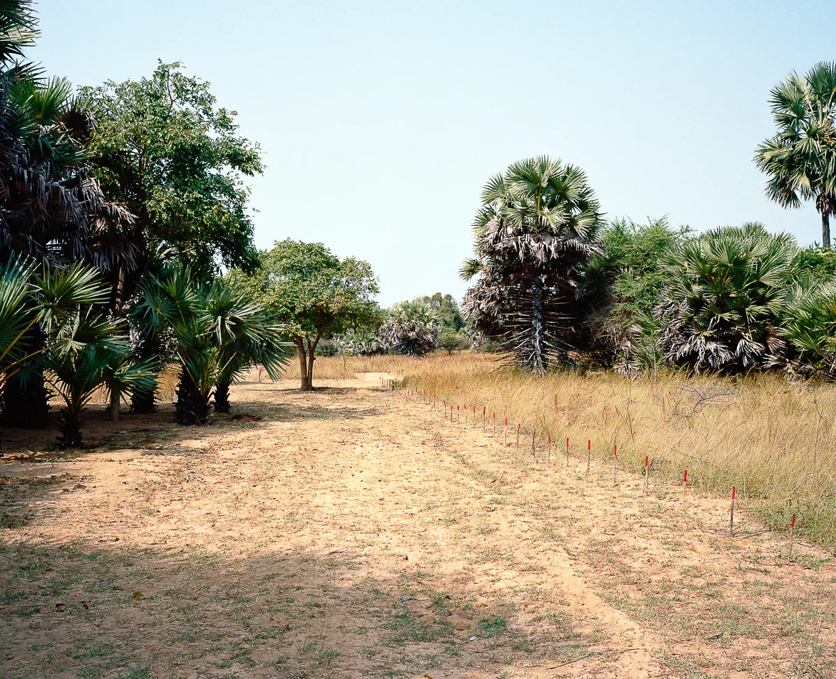 Killinochchi District