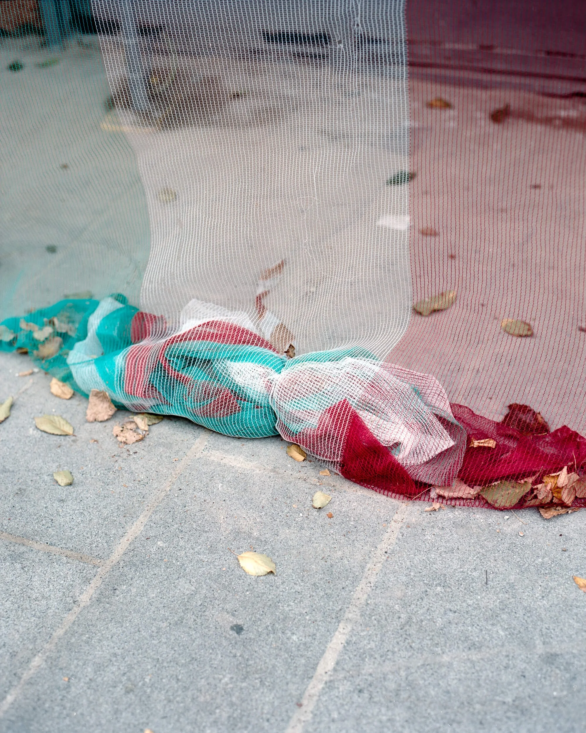 Homelands: #2 (Copy)