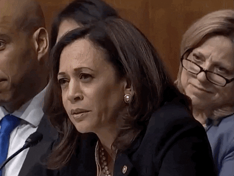 Kamala Harris.gif