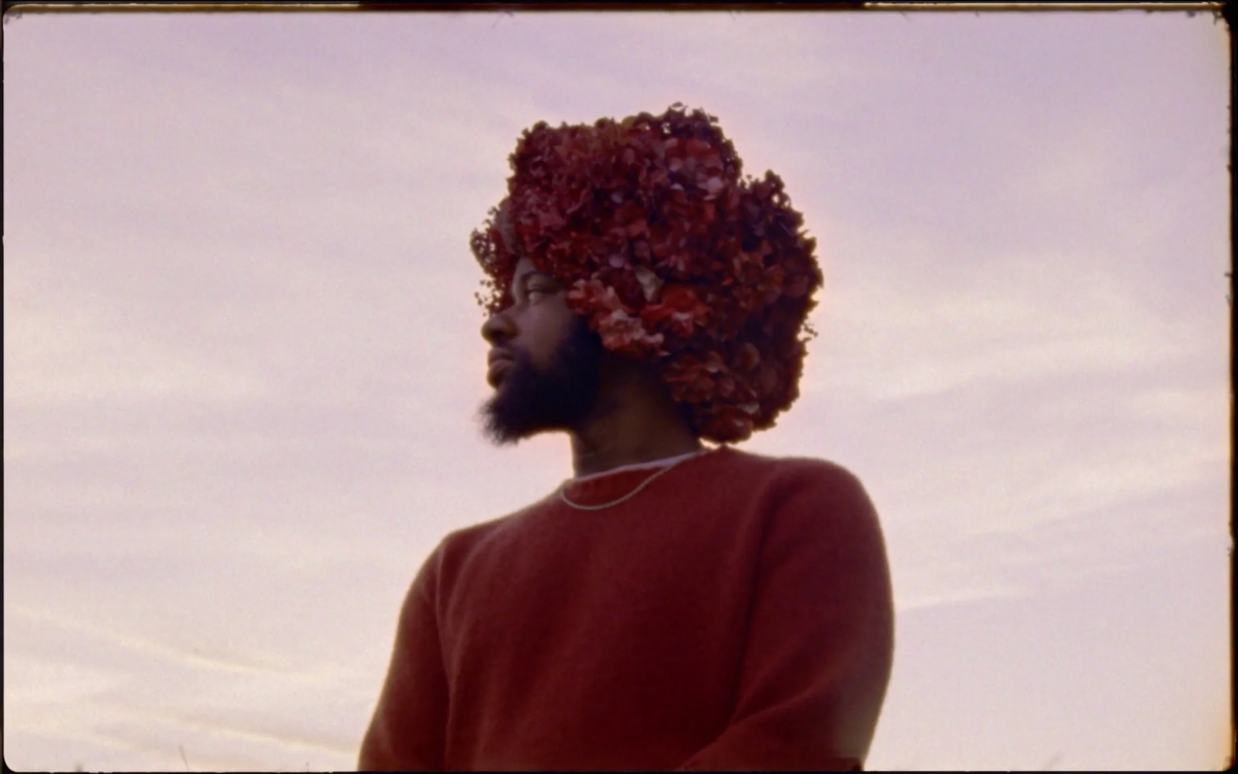 Screen Shot 2021-06-09 at 7.51.46 PM.jpeg